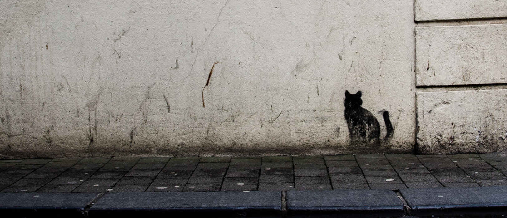 Katze Street Art
